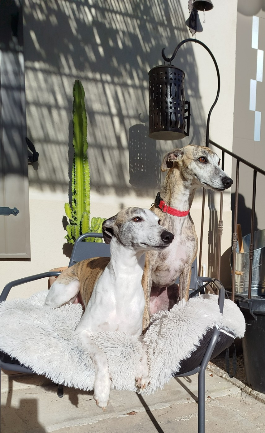 De La Fontaine Mary-Rose - Des bébés pour le mois de Mars